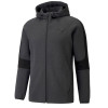 Men's hoodie Puma Evostripe Core Fz Hoodie gray 58581207