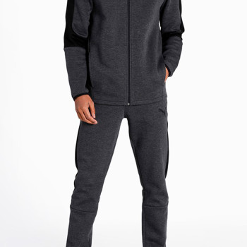 Sudadera para hombre Puma Evostripe Core Fz Hoodie gris 58581207