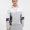 Men's hoodie Evoids Roncao grey 552267-011