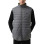 Men's vest Radder Pasco grey 502501-011