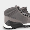 Men's boots Evoids Timau grey 692502-011