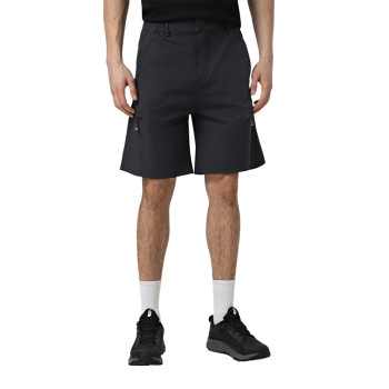 Men's shorts Larum Quantum grey 812502-011