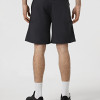 Men's shorts Larum Quantum grey 812502-011