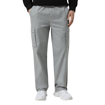 Men's pants Evoids Quasar grey 362501-011