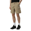 Men's shorts Evoids Cassian beige 362502-125