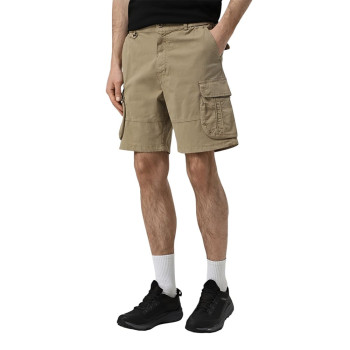 Men's shorts Evoids Cassian beige 362502-125