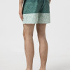 Men's shorts Radder Palawan green 122525-310