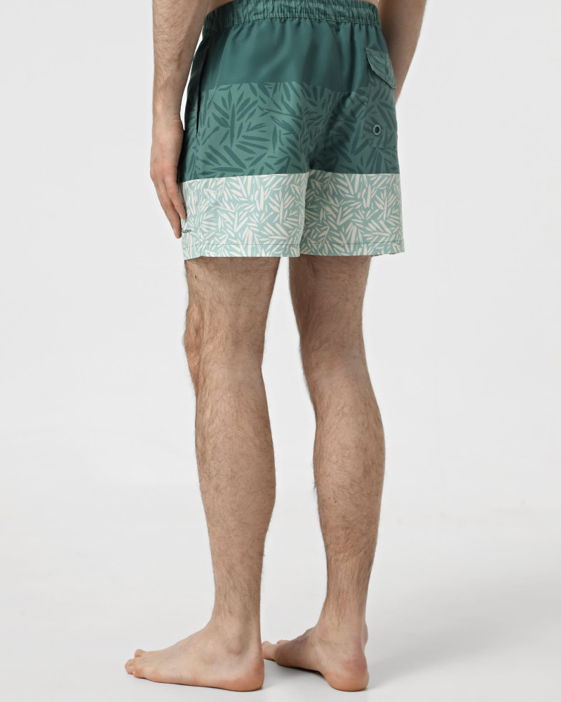 Men's shorts Radder Palawan green 122525-310