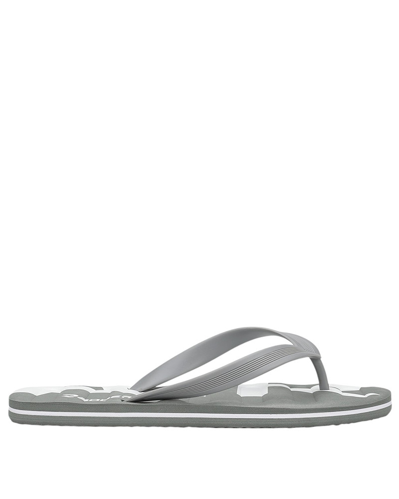 Men's flip-flops Radder Ashen grey 962501-011