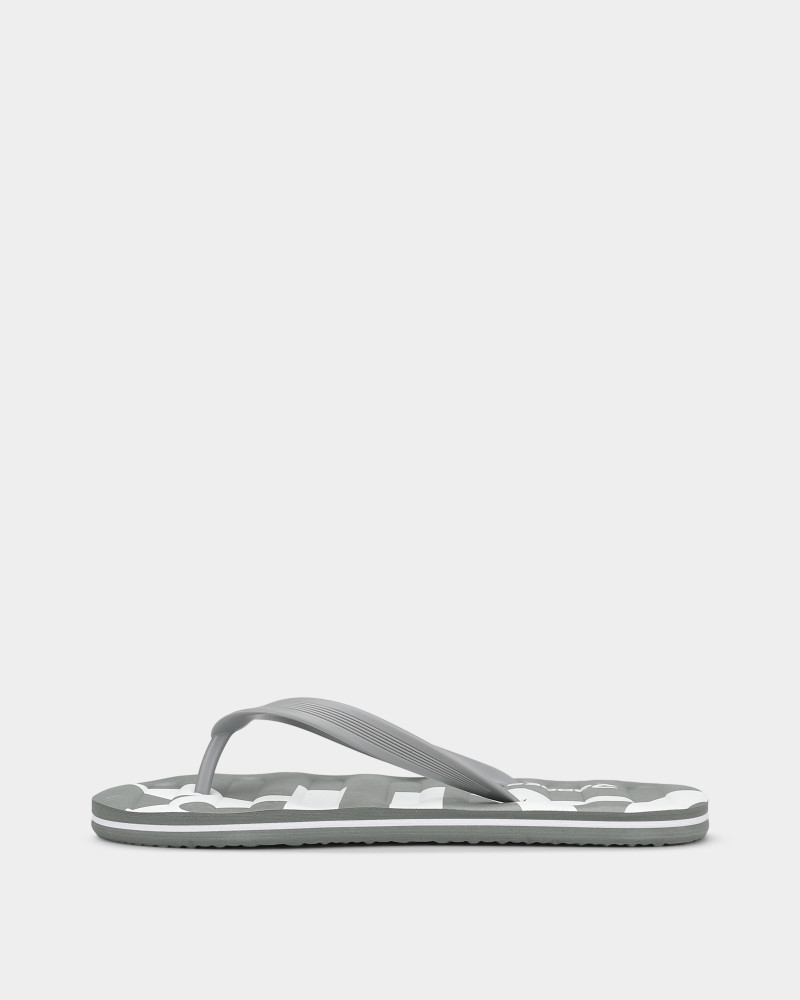 Men's flip-flops Radder Ashen grey 962501-011