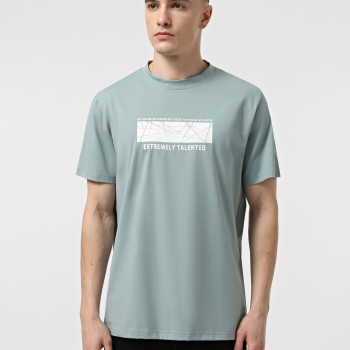 Camiseta de hombre Evoids Samwise verde 552535-310