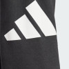 Штани чоловічі Adidas M BL FT PT чорні IN6163