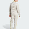 Men's tracksuit Adidas M TR CB TS beige JI8899