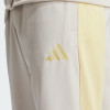 Men's tracksuit Adidas M TR CB TS beige JI8899