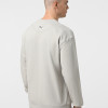Men's sweatshirt Evoids Cypress grey 552566-011