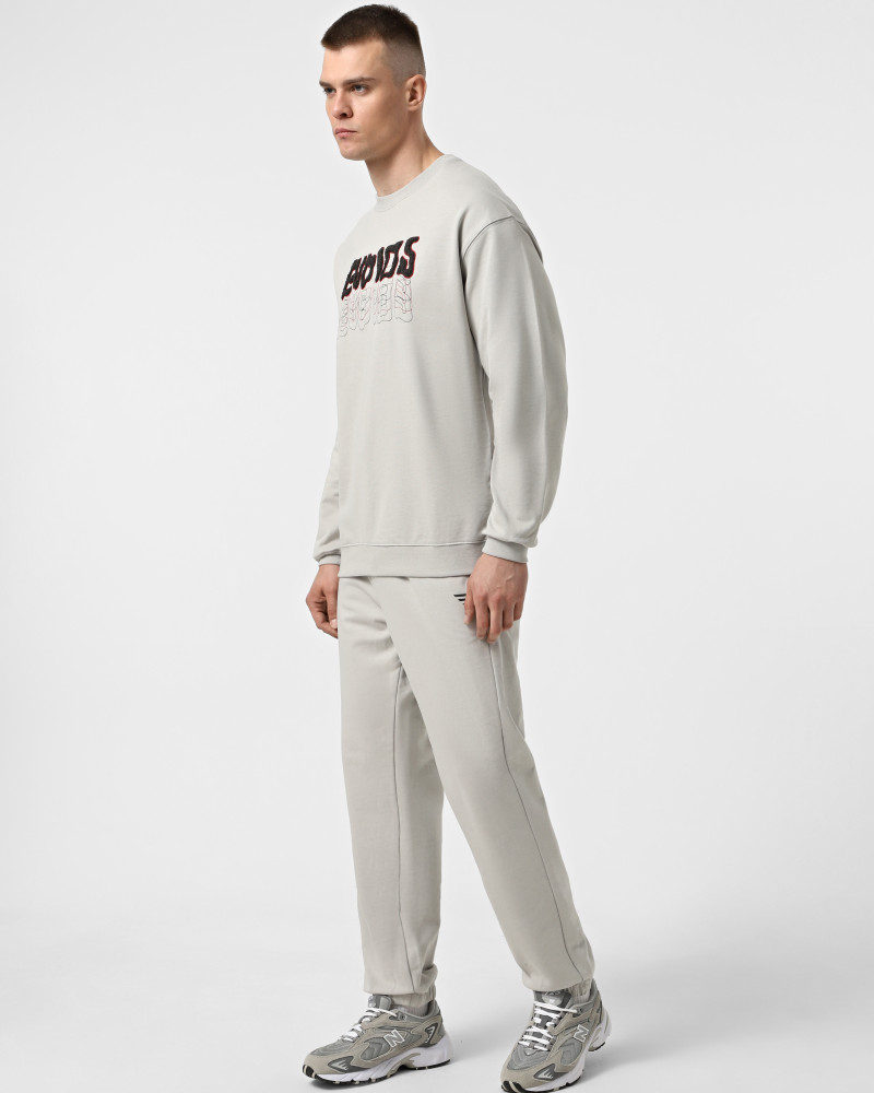 Men's sweatshirt Evoids Cypress grey 552566-011