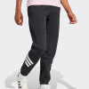 Штани жіночі Adidas W FI 3S REG PT чорні JC5454