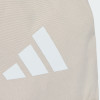 Backpack Adidas CLSC BARS BP grey JX8860