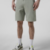 Men's shorts Radder Ravyn olive 122609-340
