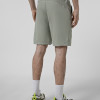 Men's shorts Radder Ravyn olive 122609-340