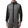 Men's hoodie Evoids Aurexa dark grey 112602-020