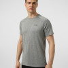 Men's T-shirt Larum Juvia grey 942601-011