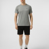 Men's T-shirt Larum Juvia grey 942601-011