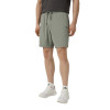 Men's shorts Radder Velin grey 922615-011