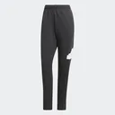 Adidas IN3322 Pantalones de Hombre M FI BOS PT